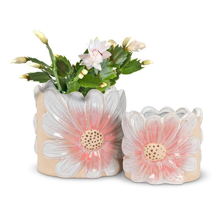 Sm Pink Daisy Planter