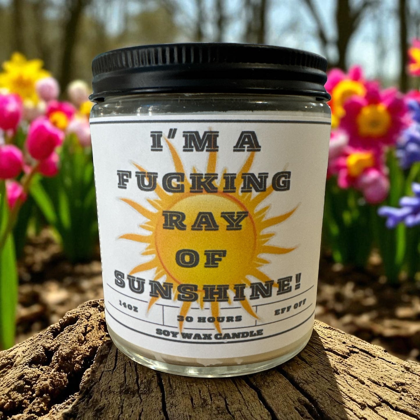 Hand Poured Soy Candles - Everyday