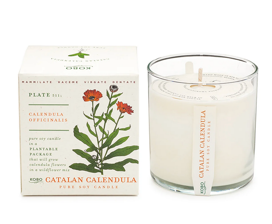 Catalan Calendula - Plant The Box 9 oz Candle
