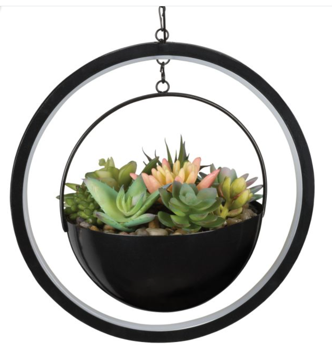 Regal Gift - Lumen Succulent Solar Lantern