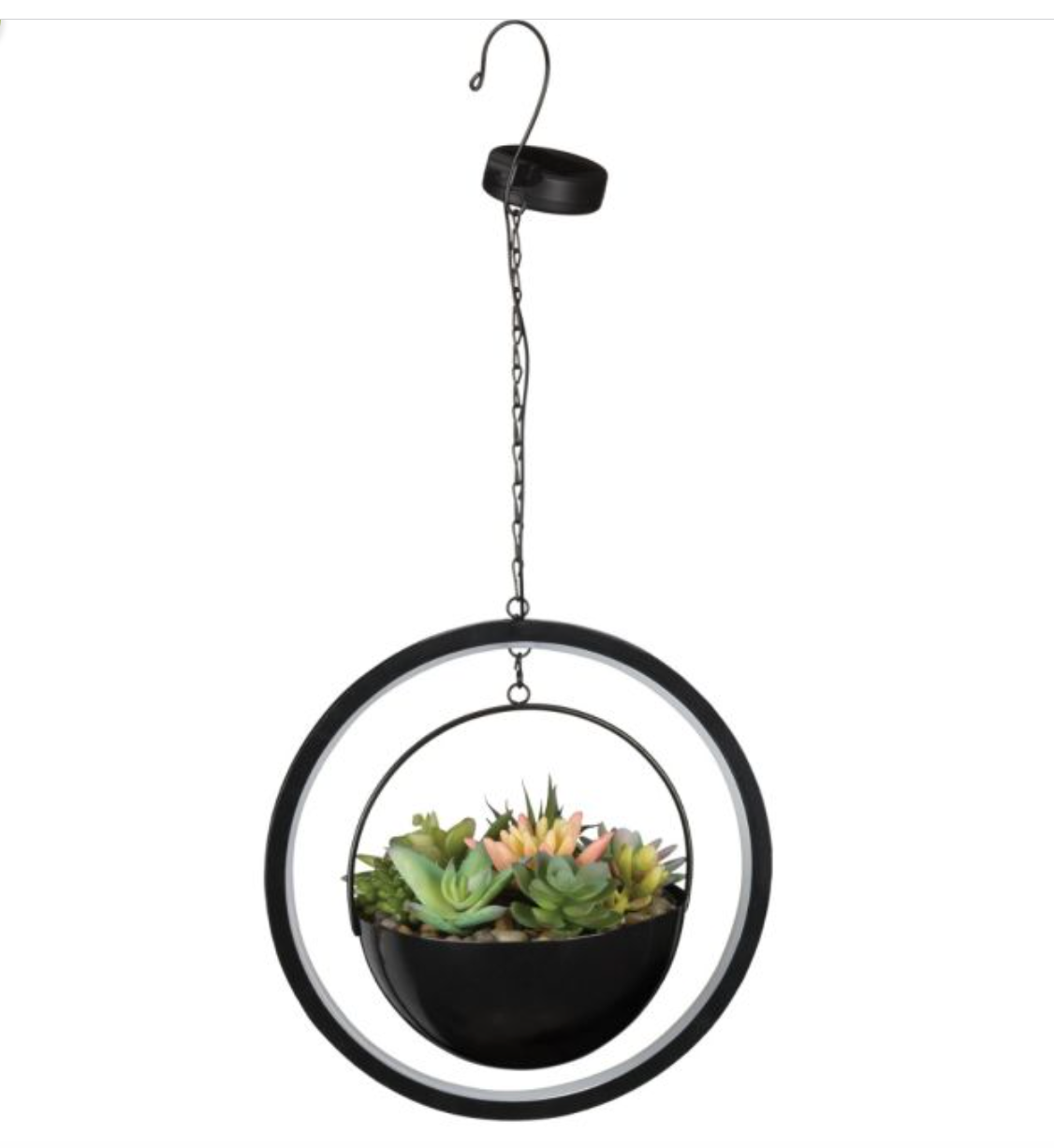 Regal Gift - Lumen Succulent Solar Lantern