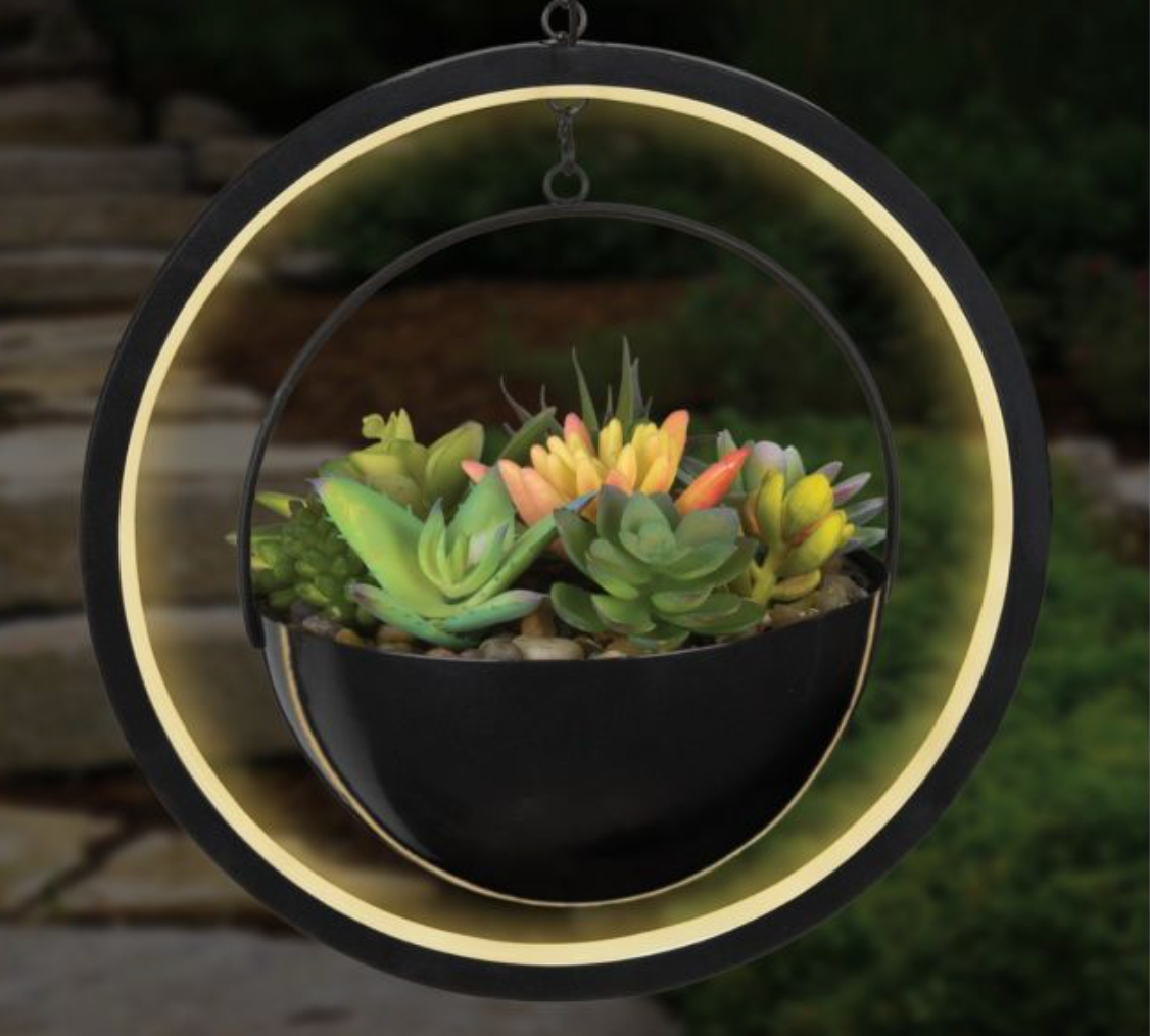 Regal Gift - Lumen Succulent Solar Lantern