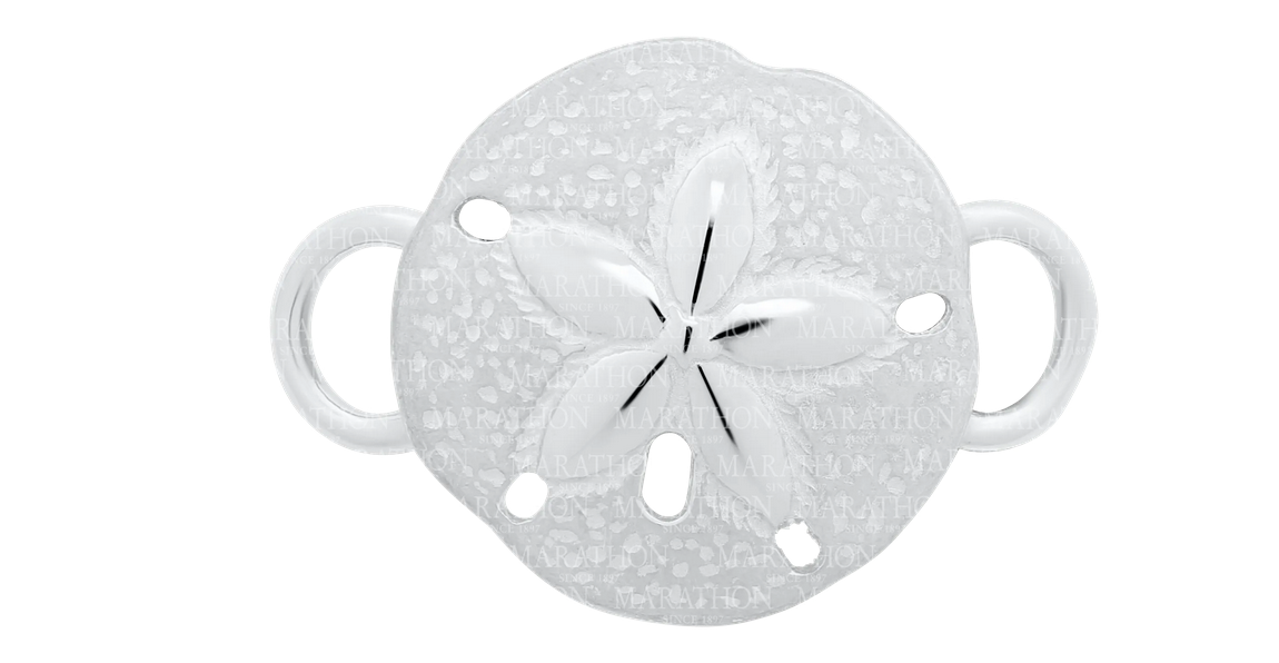 Conv Coll - SS Sand Dollar Clasp - SB5630 *