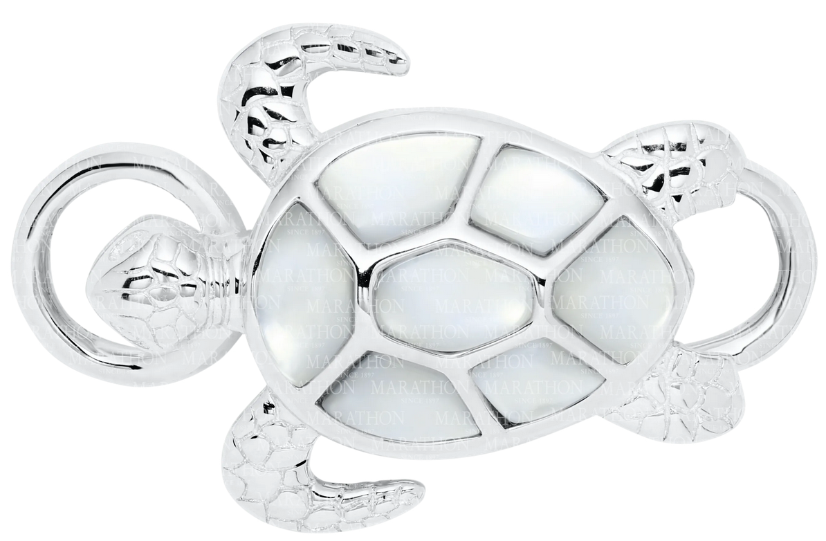 Conv Coll - SS Sea Turtle Clasp - SB5983-MOP *