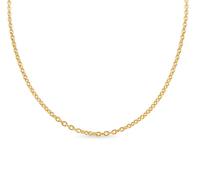 Gold 20" Stainless Steel Loop Chain Necklace - HN3011