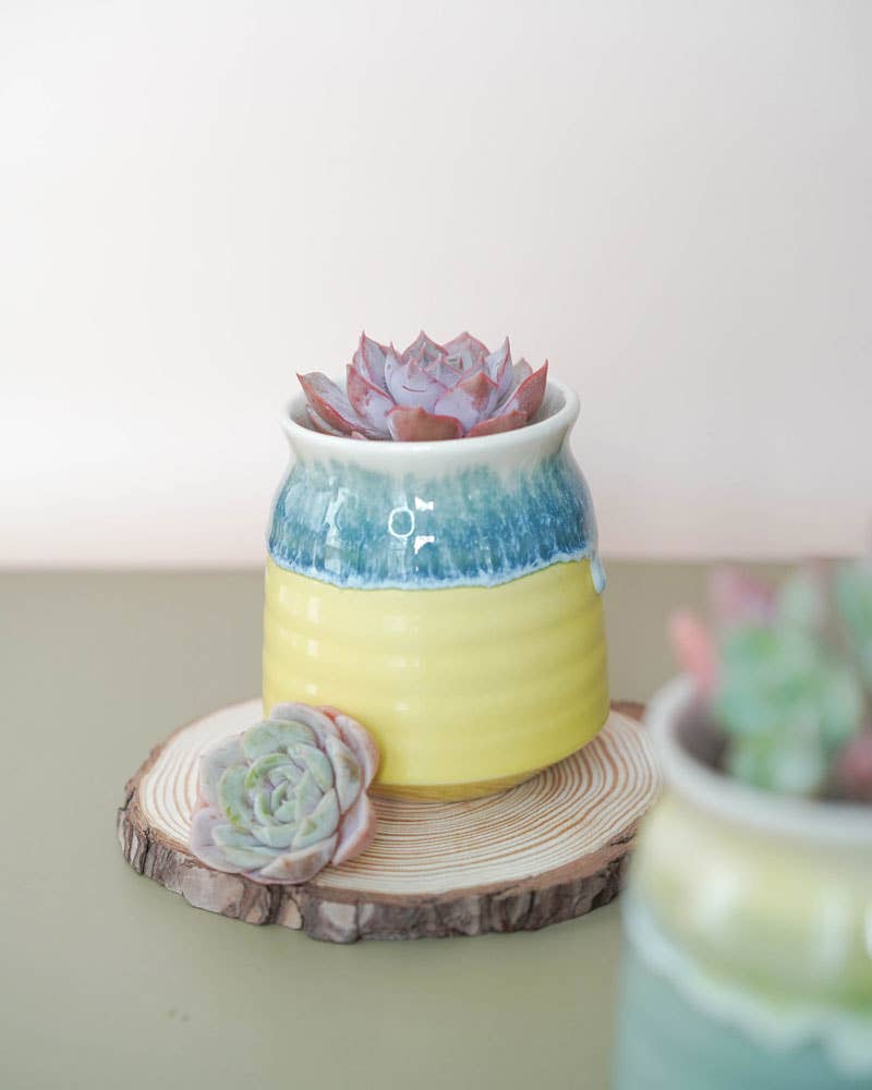 Glazed Floral Ceramic Planter