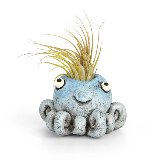 Cohasset - Inky Octopus Planter