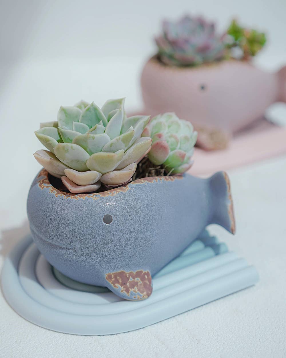 Whale Family Planter - Ceramic