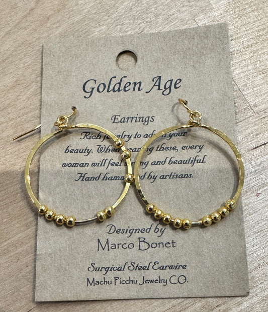 Gold Hoop Earrings (original)