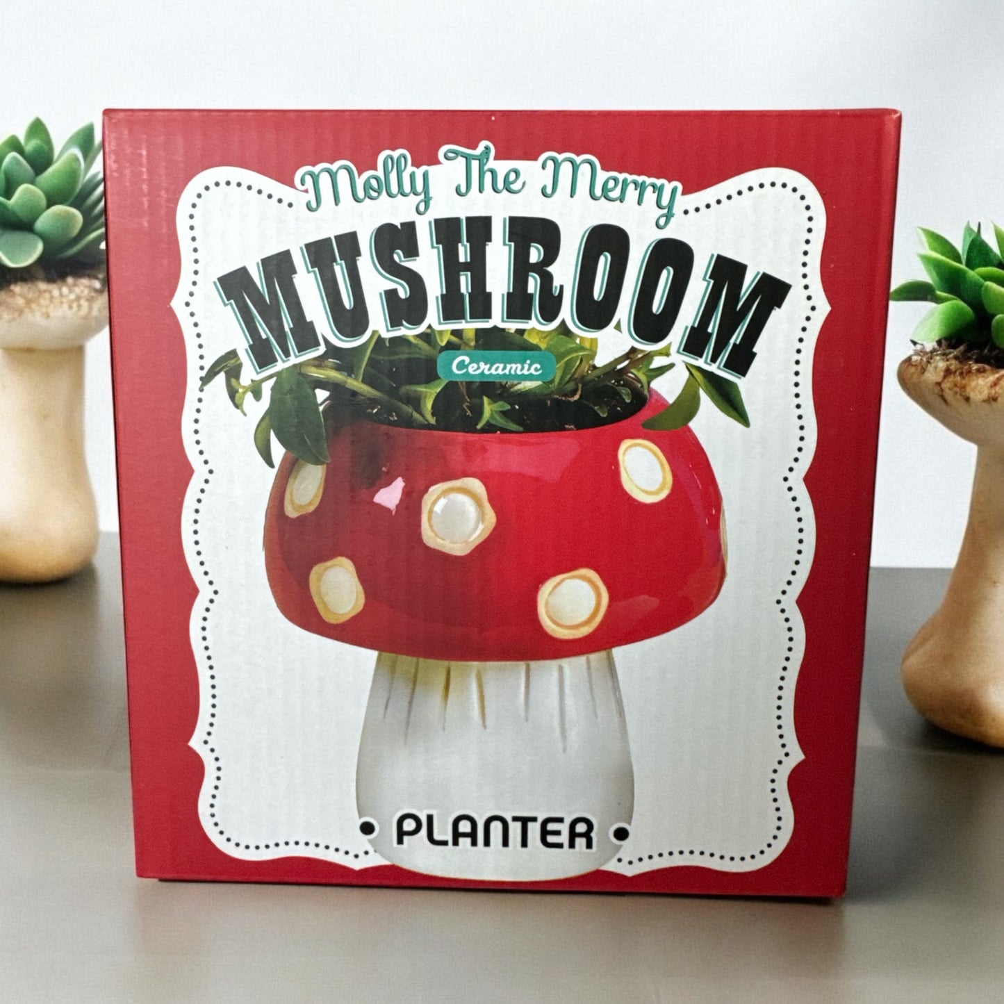 STR - Mushroom Planter - Med