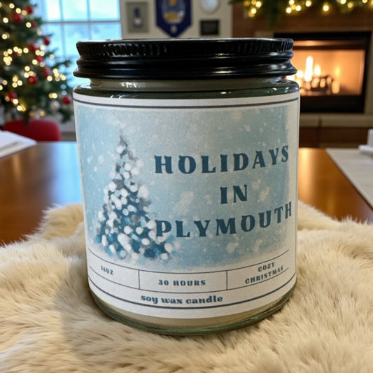 Hand Poured Soy Candles - Seasonal