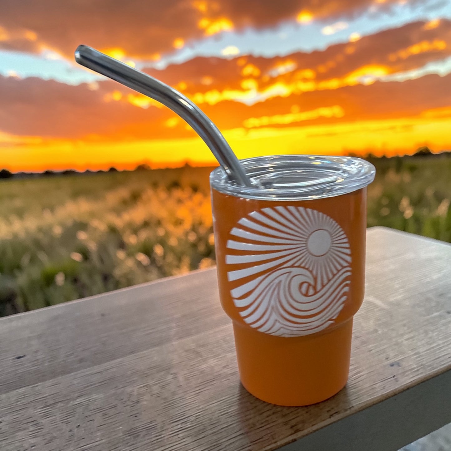 Saltwater Sippers -  Mini Tumblers 3oz