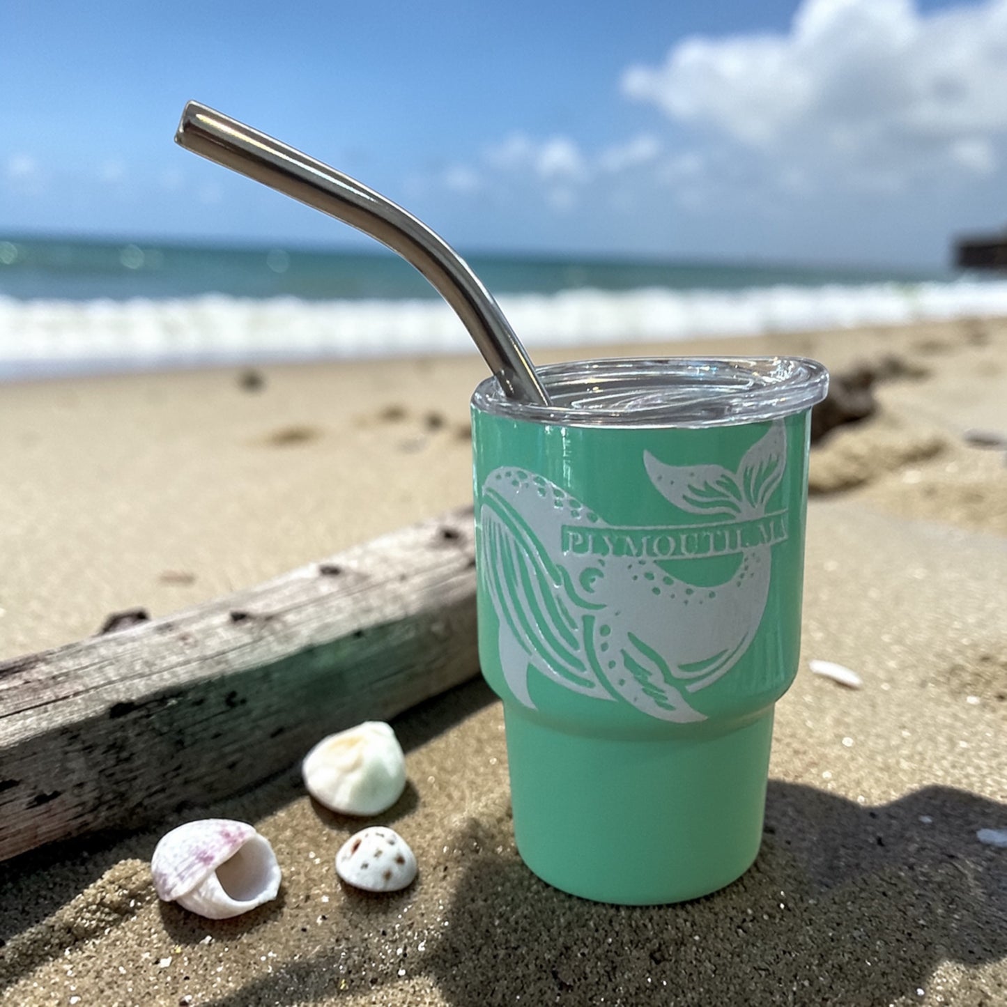 Saltwater Sippers -  Mini Tumblers 3oz