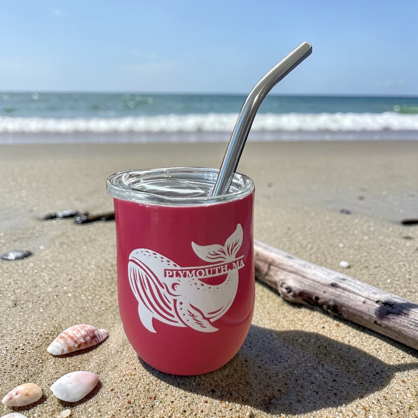 Saltwater Sippers -  Mini Tumblers 3oz