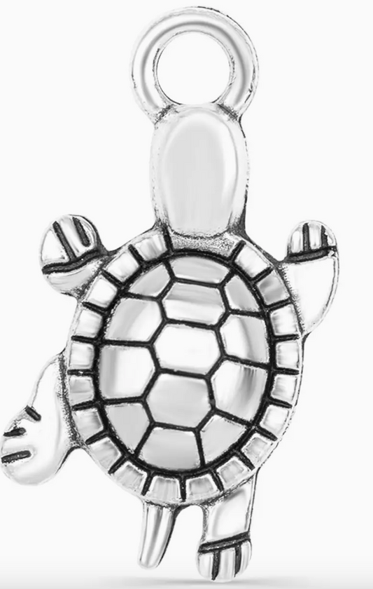 Sea Turtle Charm