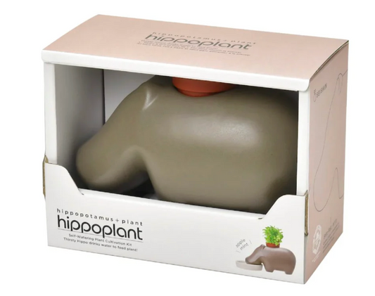 Hippoplant Planter - Brown - Apple Mint