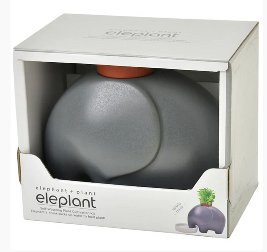 Eleplant Planter - Gray - Apple Mint