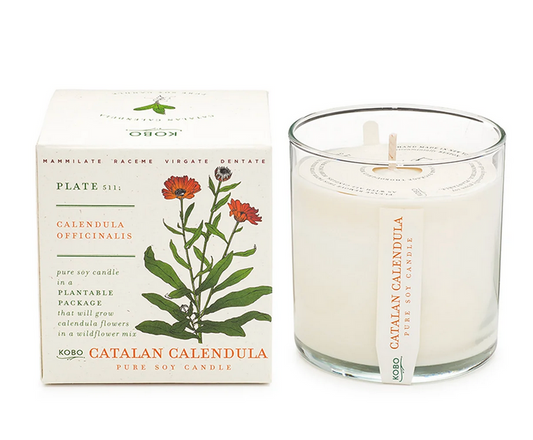 Catalan Calendula Plant The Box 9 oz Candle