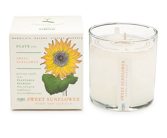 Sweet Sunflower Plant The Box 9 oz Candle