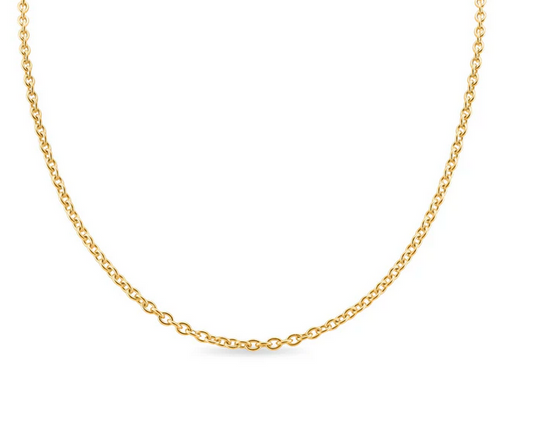 Gold 16" Stainless Steel Loop Chain Necklace - HN3011