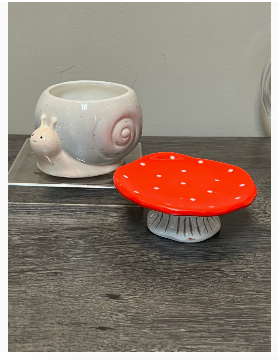 STR - Snail & Mushroom Planter