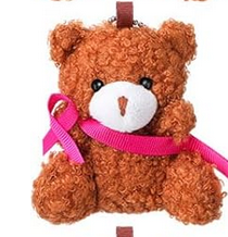 Breast Cancer Awareness Bear in a Bag