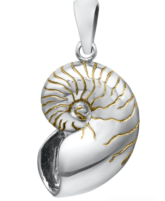 Kovel - SS PIS SM NAUTILUS NECKLACE - KLP924PS3