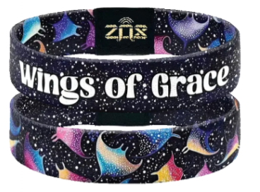 ZOX Bracelets - Coastal - Interactive