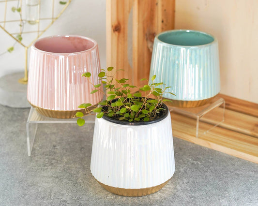 Ceramic Pearl Glazed Column Planter