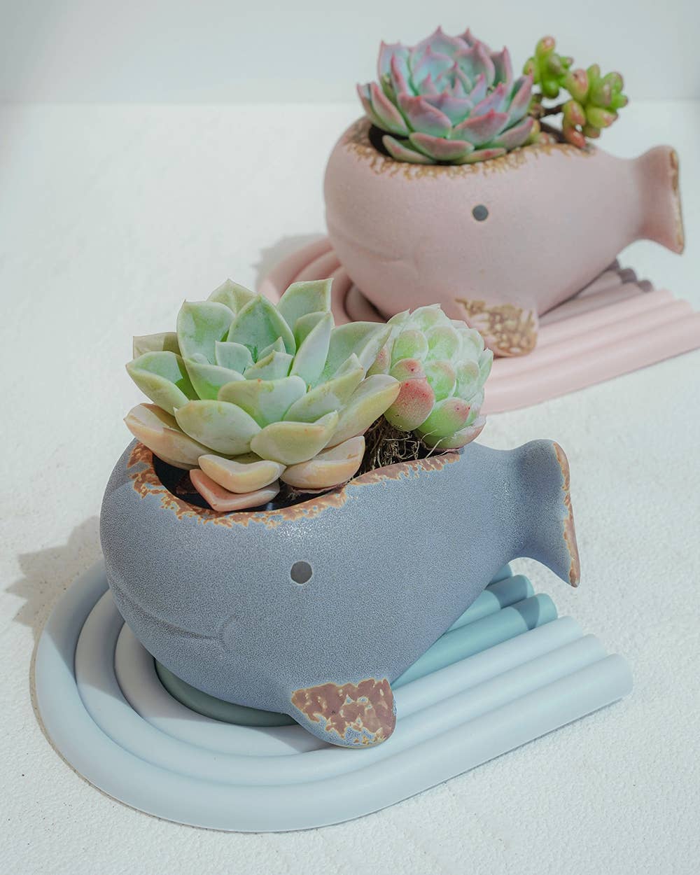 Whale Family Planter - Ceramic