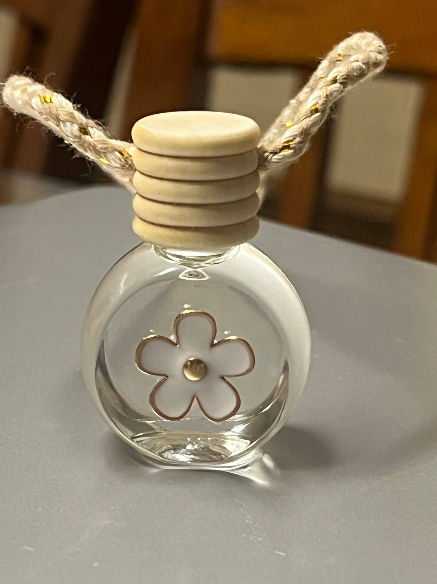 Ocean Air (clean, sea salt, and ozone) Hanging Car Diffuser