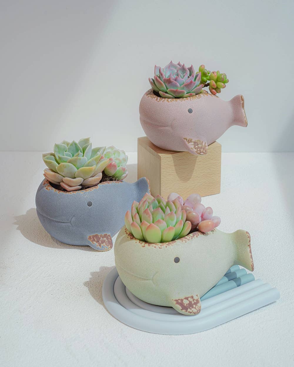 Whale Family Planter - Ceramic