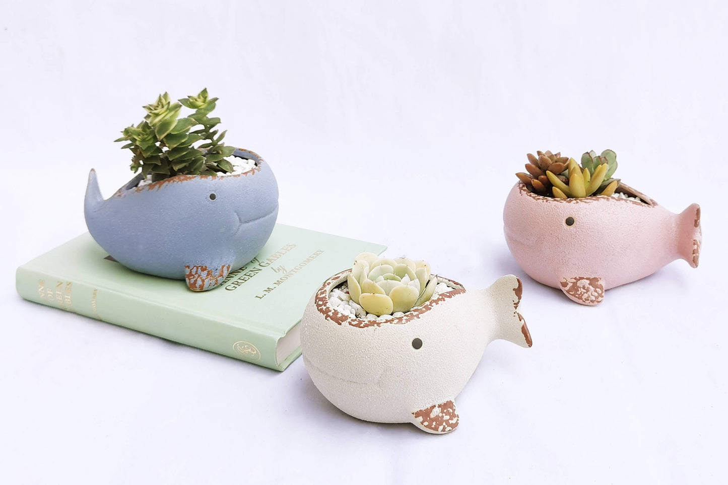 Whale Family Planter - Ceramic