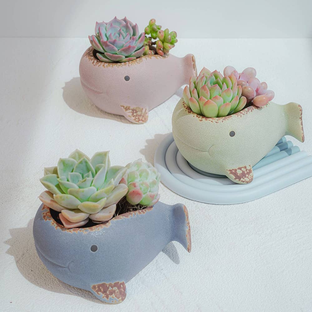 Whale Family Planter - Ceramic