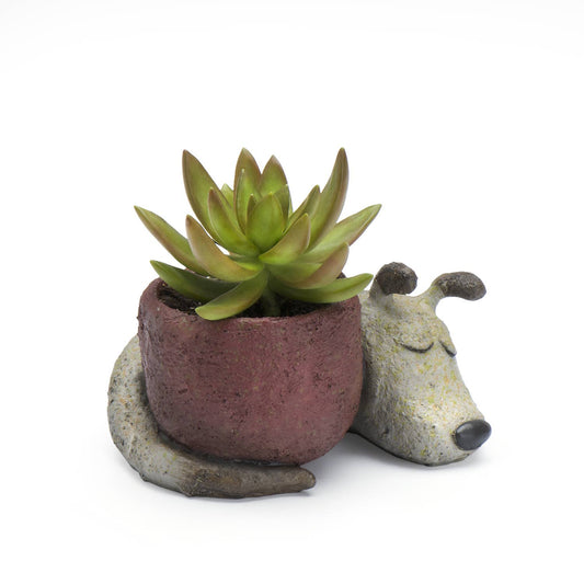 Cohasset - Dreamer Dog Planter